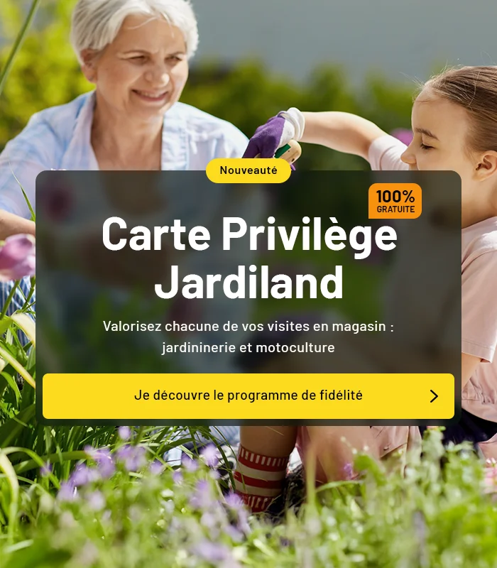 Programme de fidélité