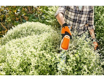 Taille Haie STIHL batterie AS HSA 26,AS2,AL10