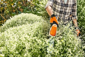 Taille Haie STIHL batterie AS HSA 26,AS2,AL10