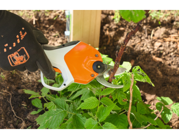 Sécateur STIHL batterie AS ASA 20.0 SET