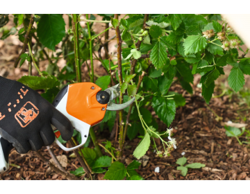 Sécateur STIHL batterie AS ASA 20.0 SET