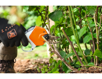 Sécateur STIHL batterie AS ASA 20.0 SET