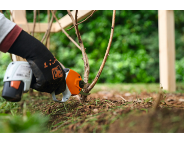 Sécateur STIHL batterie AS ASA 20.0 SET