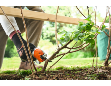 Sécateur STIHL batterie AS ASA 20.0 SET