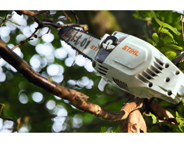 Tronçonneuse Perche STIHL batterie AP HTA 86,30cm/12",71PM3