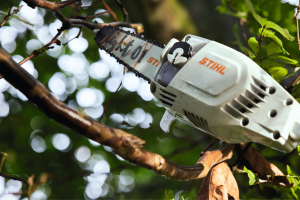 Tronçonneuse Perche STIHL batterie AP HTA 86,30cm/12",71PM3