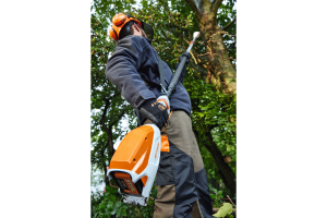 Tronçonneuse Perche STIHL batterie AP HTA 86,30cm/12",71PM3