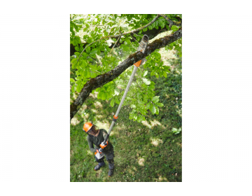 Tronçonneuse Perche STIHL batterie AP HTA 135,30cm/12",71PM3