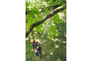 Tronçonneuse Perche STIHL batterie AP HTA 135,30cm/12",71PM3