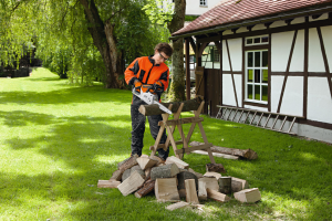 Tronçonneuse STIHL Batterie AP MSA 200.0 C-B,35cm/14",71PM3