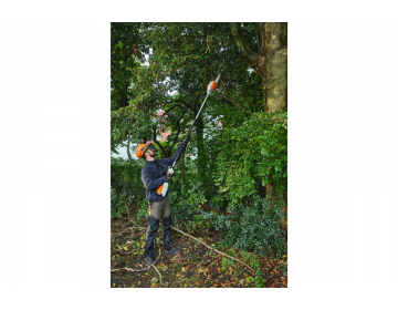 Tronçonneuse Perche STIHL batterie AP HTA 66,30cm/12",71PM3
