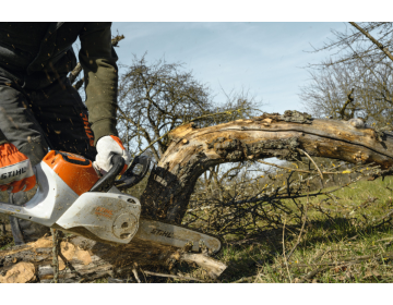 Tronçonneuse STIHL Batterie AP MSA 220.0 C-B