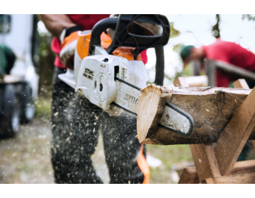 Tronçonneuse STIHL Batterie AP MSA 160.0 C-B,30cm/12",71PM3