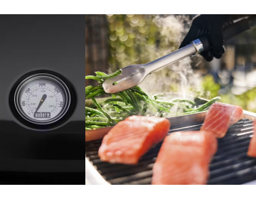 Barbecue Electrique Lumin avec Stand