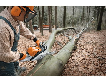 Tronçonneuse STIHL 2T MS 391,R50cm,36RM