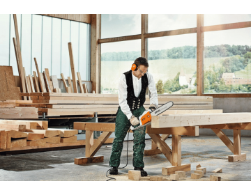 Tronçonneuse STIHL électrique MSE 250 C-Q,45cm/18",36RS