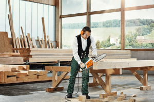 Tronçonneuse STIHL électrique MSE 250 C-Q,45cm/18",36RS