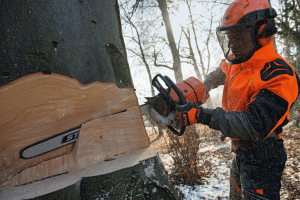 Tronçonneuse STIHL 2T MS 661 C-M,63cm/25",36RS