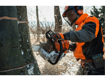 Tronçonneuse STIHL 2T MS 661 C-M,63cm/25",36RS