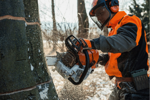 Tronçonneuse STIHL 2T MS 661 C-M,63cm/25",36RS