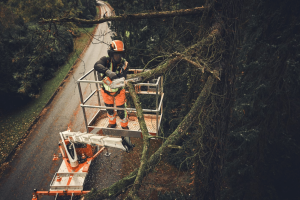 Tronçonneuse STIHL Batterie MSA 190.0 T,35cm/14"