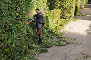 Taille Haie STIHL batterie AP HSA 130.0 R, 600mm/24"