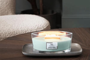 Sagewood & Seagrass Ellipse Candle