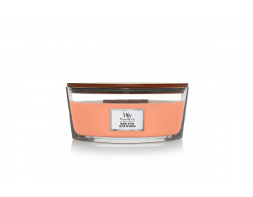 Manuka Nectar Ellipse Candle