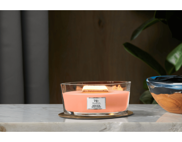 Manuka Nectar Ellipse Candle