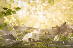 Solar Haze Medium Candle