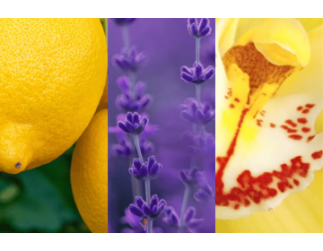 Lemon Lavender Filled Votive