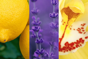 Lemon Lavender Filled Votive