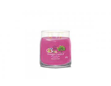 Art In The Park Signature Medium Jar