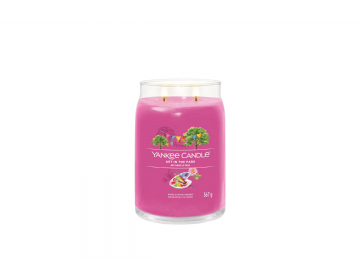 Art In The Park Signature Large Jar