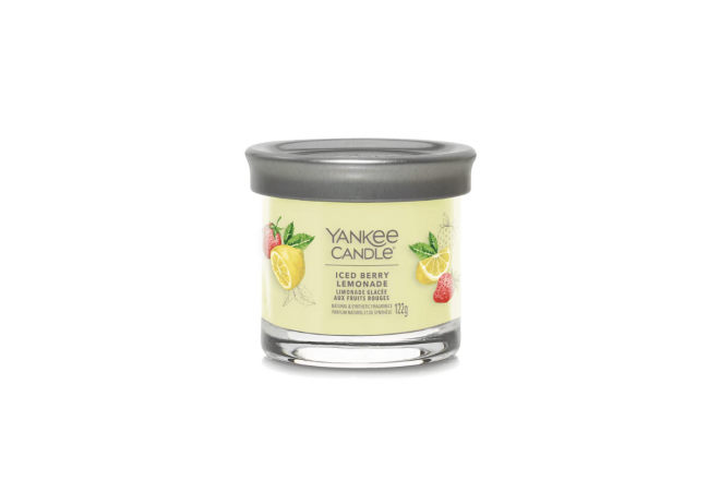 Iced Berry Lemonade Signature Small Tumbler