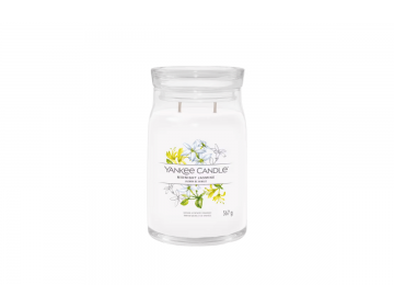 Midnight Jasmine Signature...