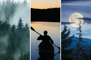 Midsummer'S Night Filled Votive