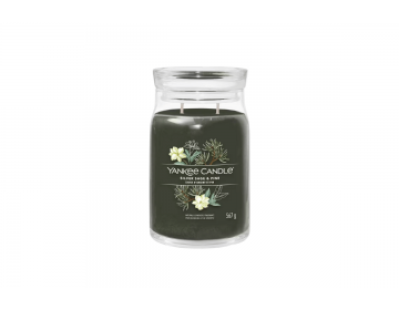 Silver Sage & Pine...