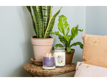 Stargazing Signature Medium Jar