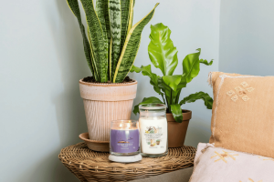 Stargazing Signature Medium Jar