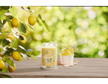 Frozen Lemon Gelato Signature Large Jar
