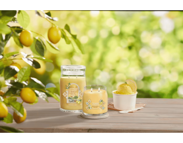 Frozen Lemon Gelato Signature Medium Jar