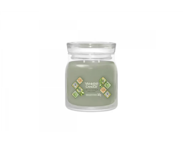 Olive & Cypress Garden...