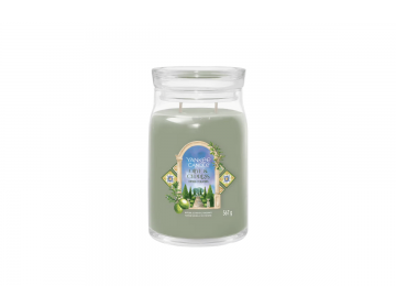 Olive & Cypress Garden...