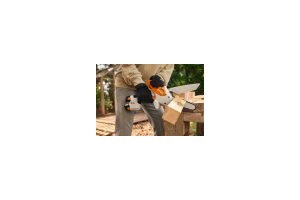 Tronçonneuse STIHL batterie AS GTA 30,2xAS2,AL5-2