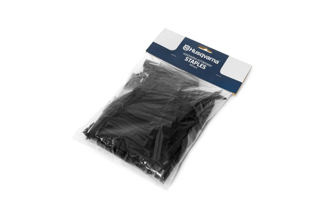 Cavaliers 100 pcs. emballage BLISTER